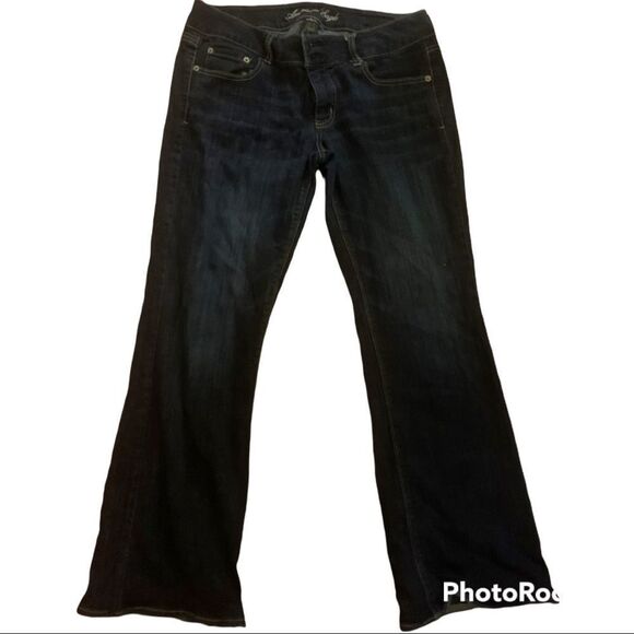 American Eagle Outfitters Artist jeans EUC - Picture 1 of 3